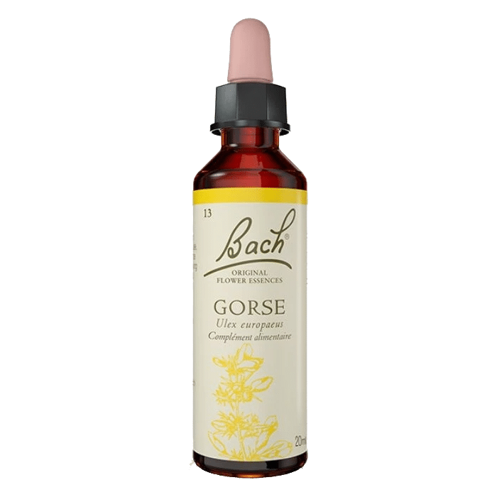 Gorse Bach Original - Fleur de Bach Authentique