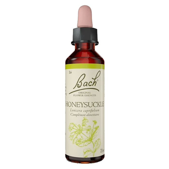Honeysuckle Bach Original - Fleur de Bach Authentique