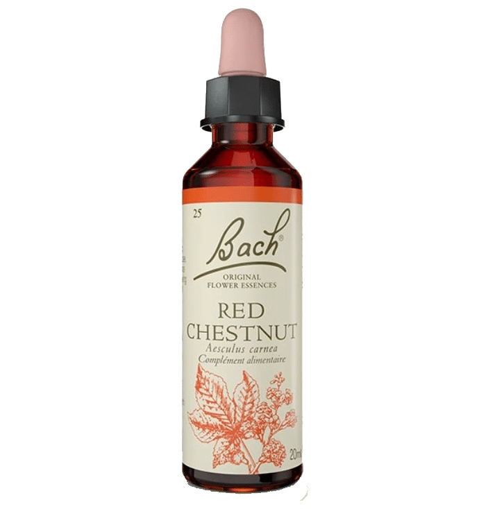 Red Chestnut Bach Original - Fleur de Bach Authentique