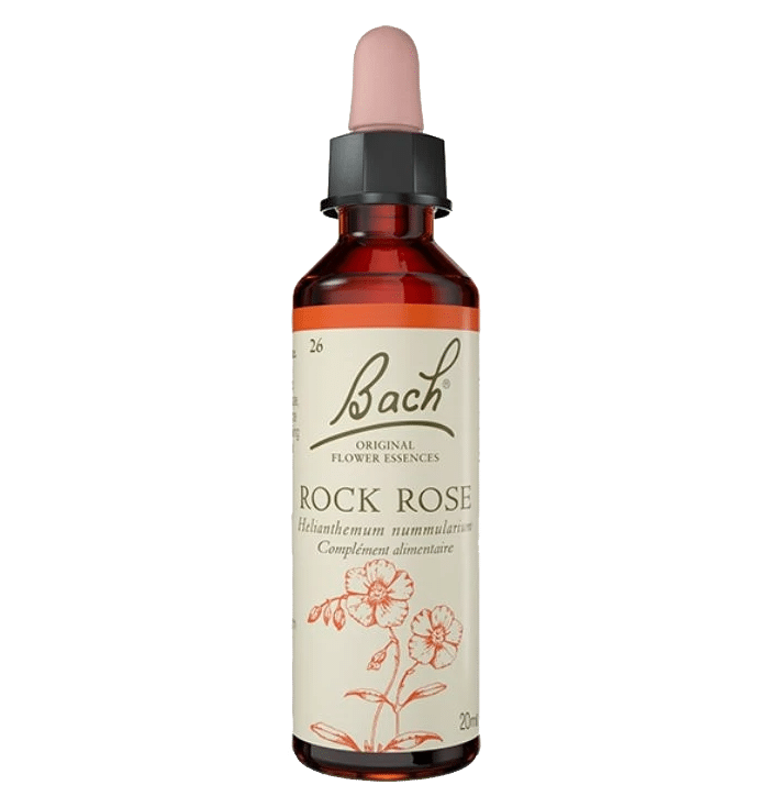Rock Rose Bach Original - Fleur de Bach Authentique