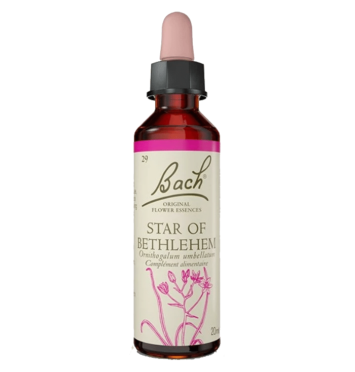 Star of Bethlehem Bach Original - Fleur de Bach Authentique