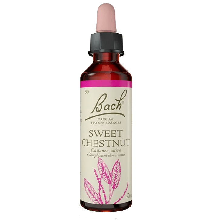 Sweet Chestnut Bach Original - Fleur de Bach Authentique