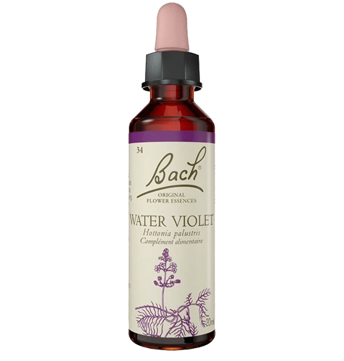 Water Violet Bach Original - Fleur de Bach Authentique