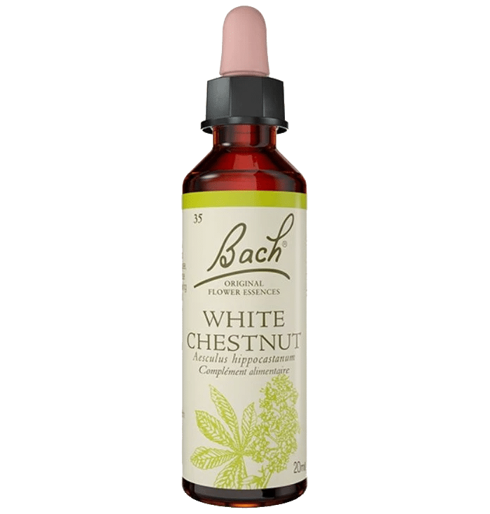 White Chestnut Bach Original - Fleur de Bach Authentique