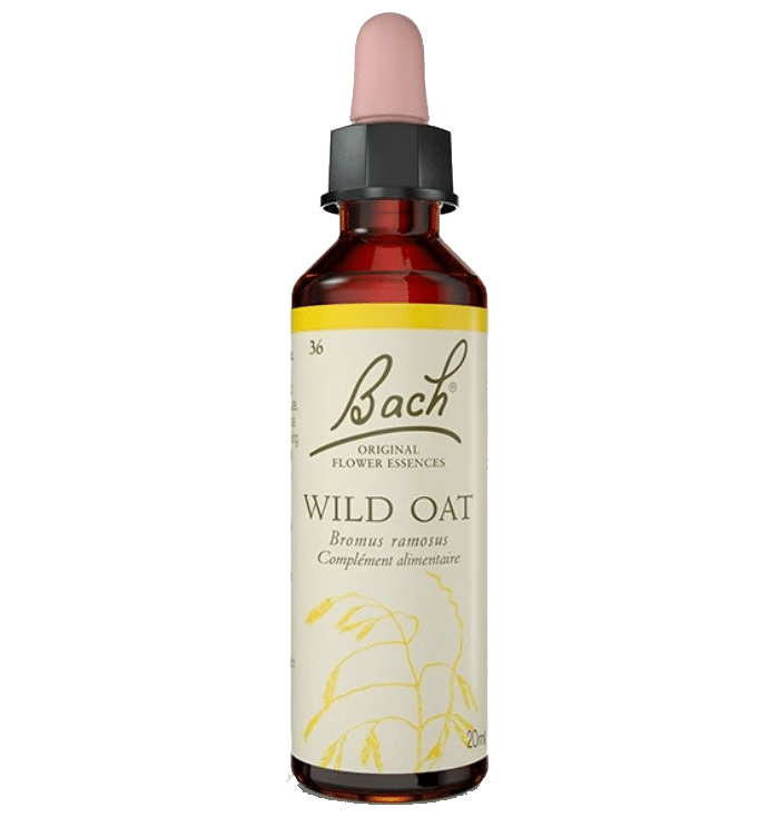 Wild Oat Bach Original - Fleur de Bach Authentique